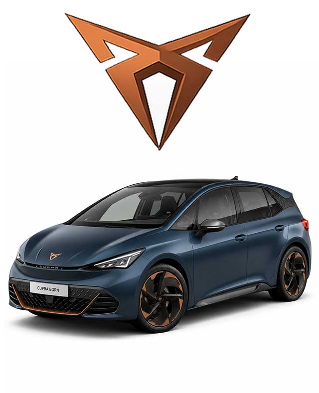 Cupra Born, Tavascan akkumulátor javítás